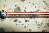 世界体操公开赛：创新元素与稳定发挥共同赢得高分，世界体操大赛包括什么